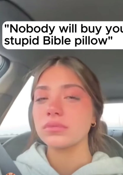 The Perfect Christmas Gift: Holy Bible Pillow Book!🎄